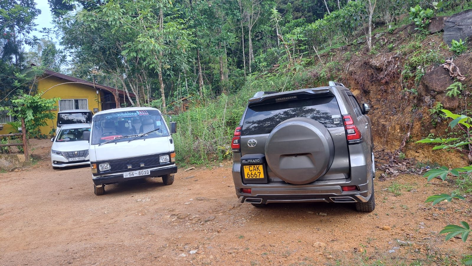 Vans and SUVs parked