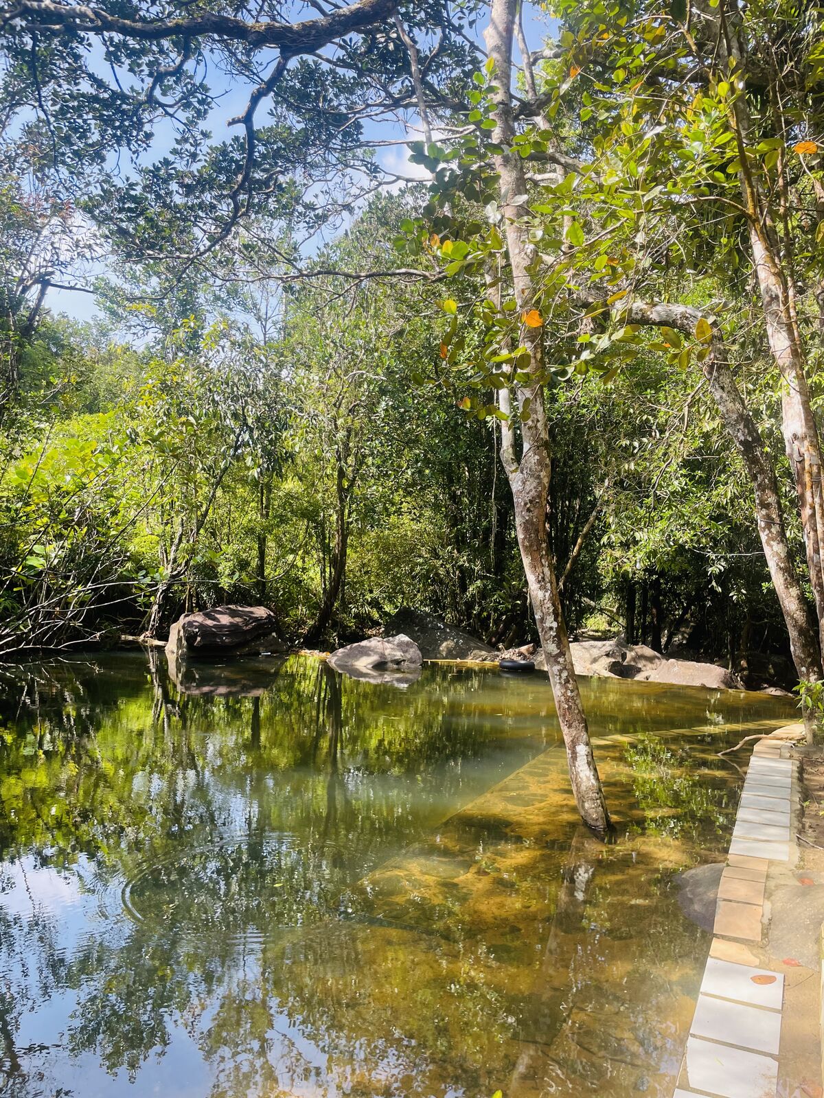 Natural Pool