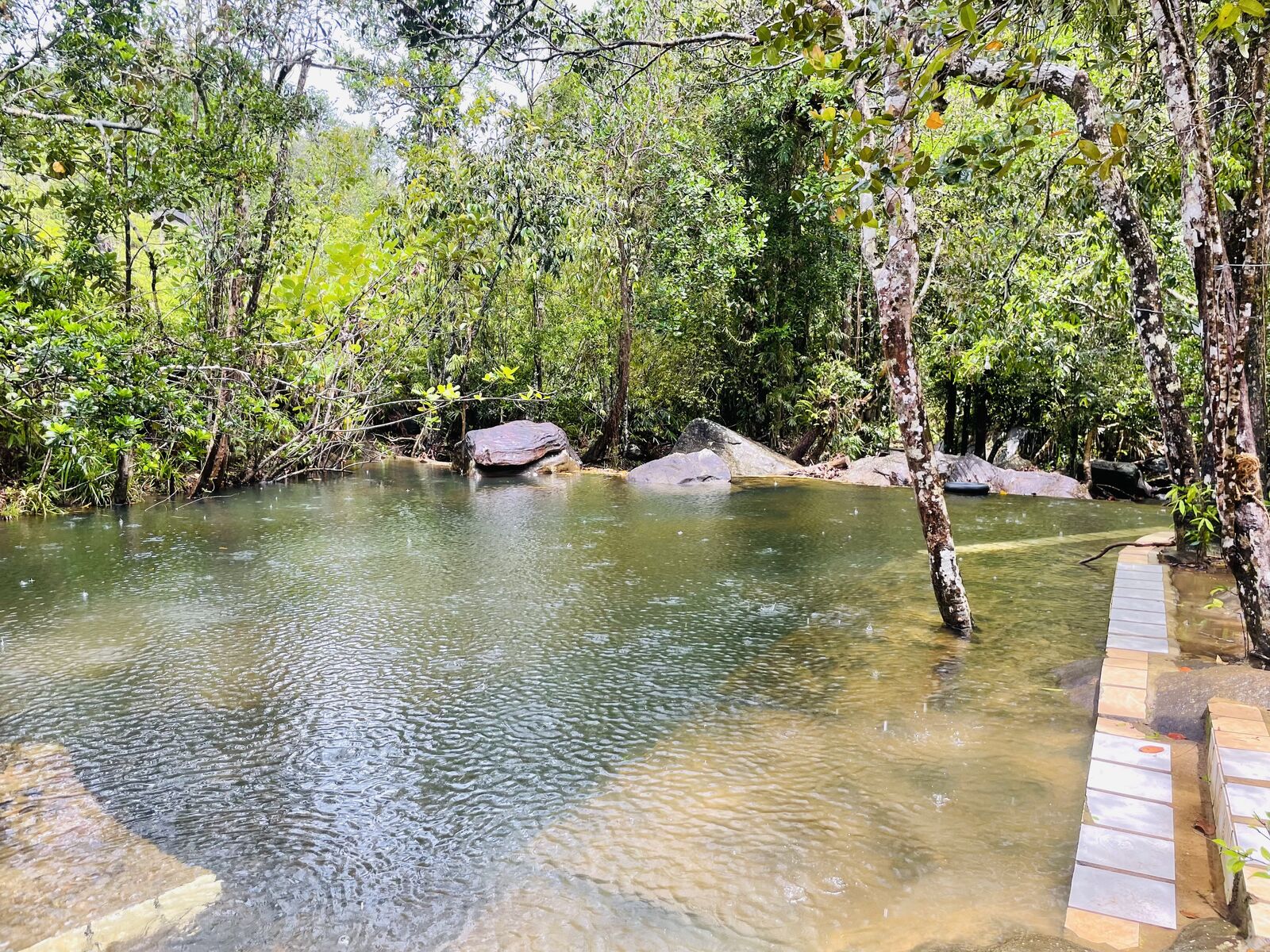 Natural Pool
