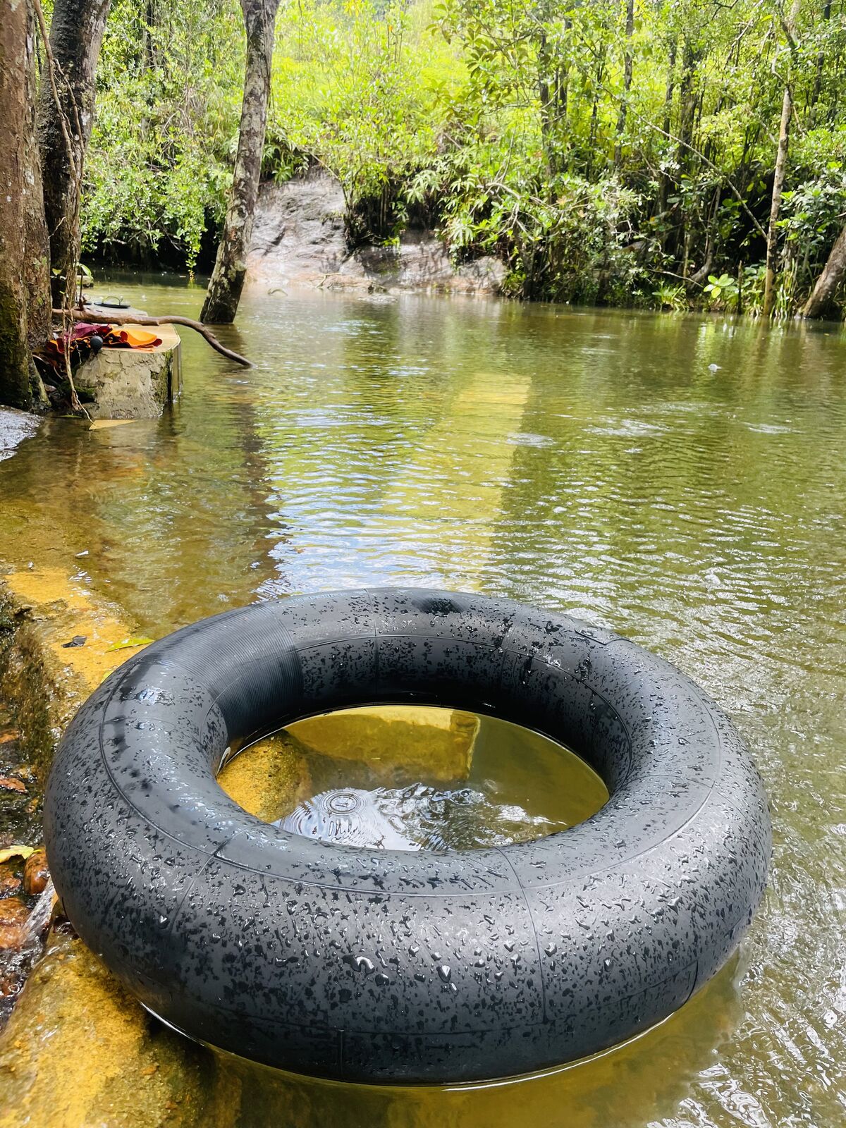 Natural Pool