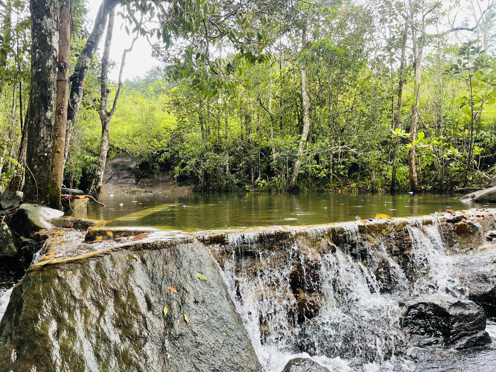 Natural Pool