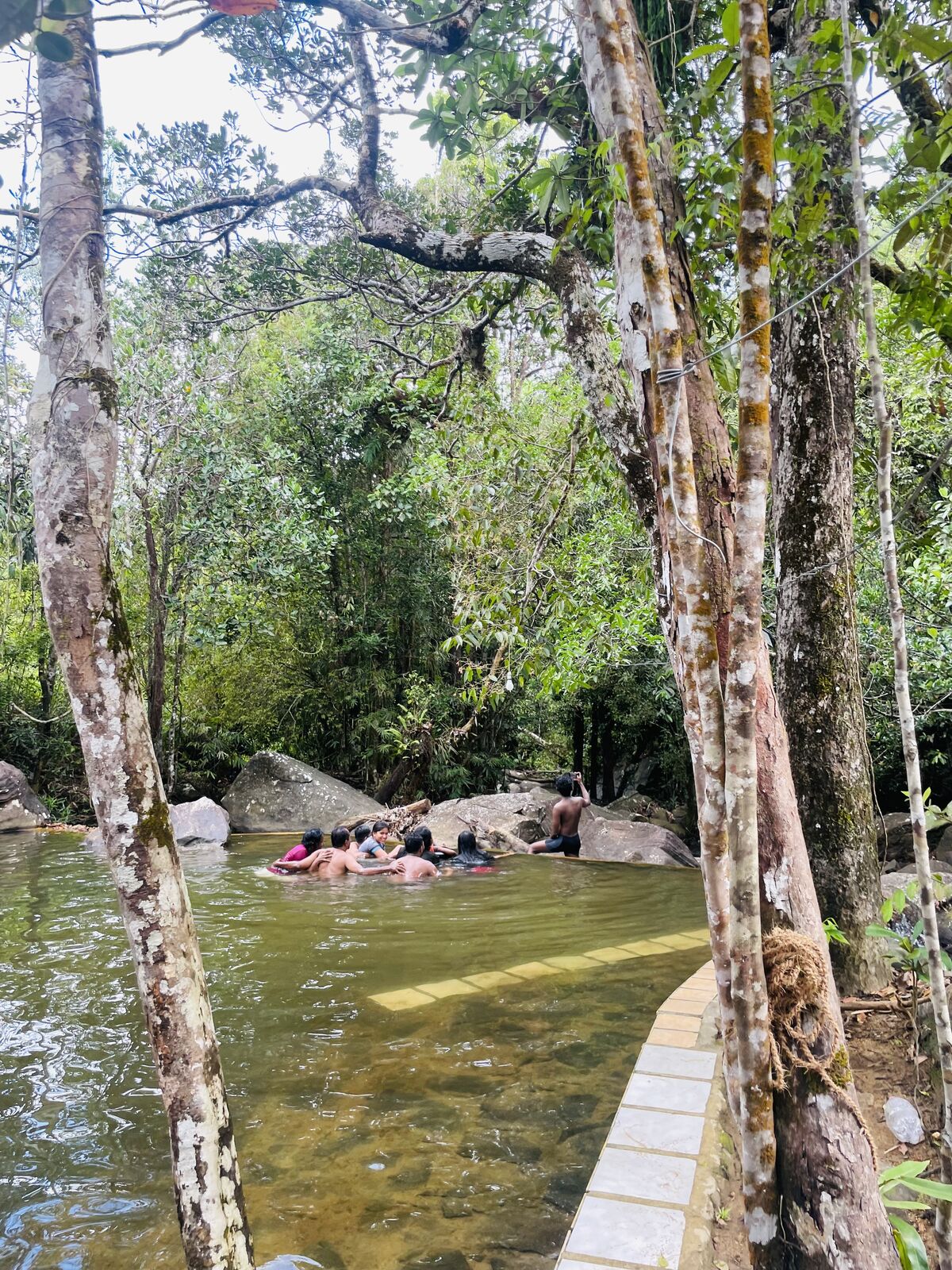 Natural Pool