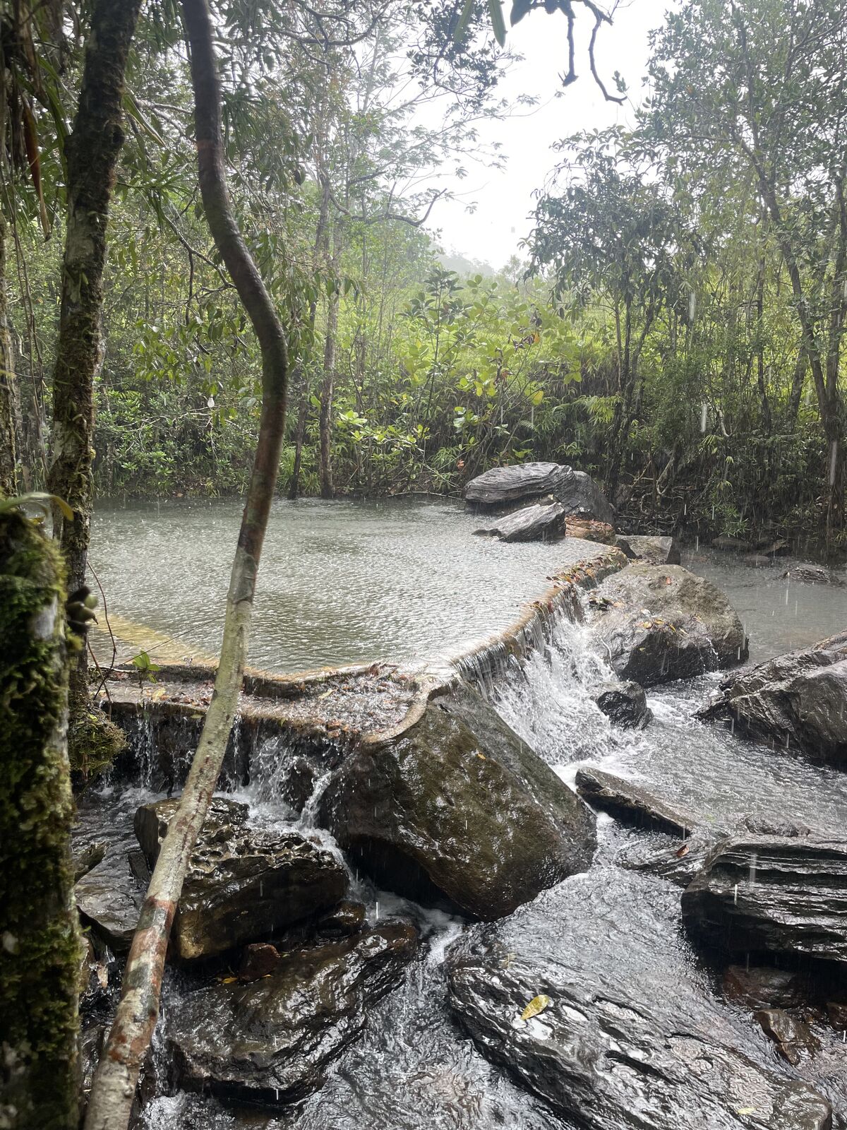 Natural Pool