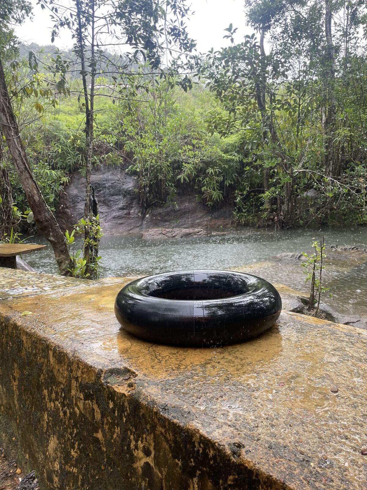 Natural Pool