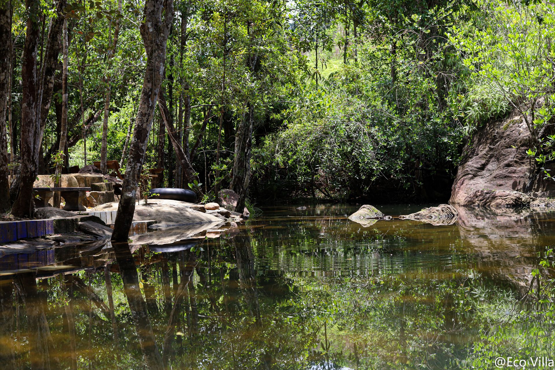 Natural Pool serene