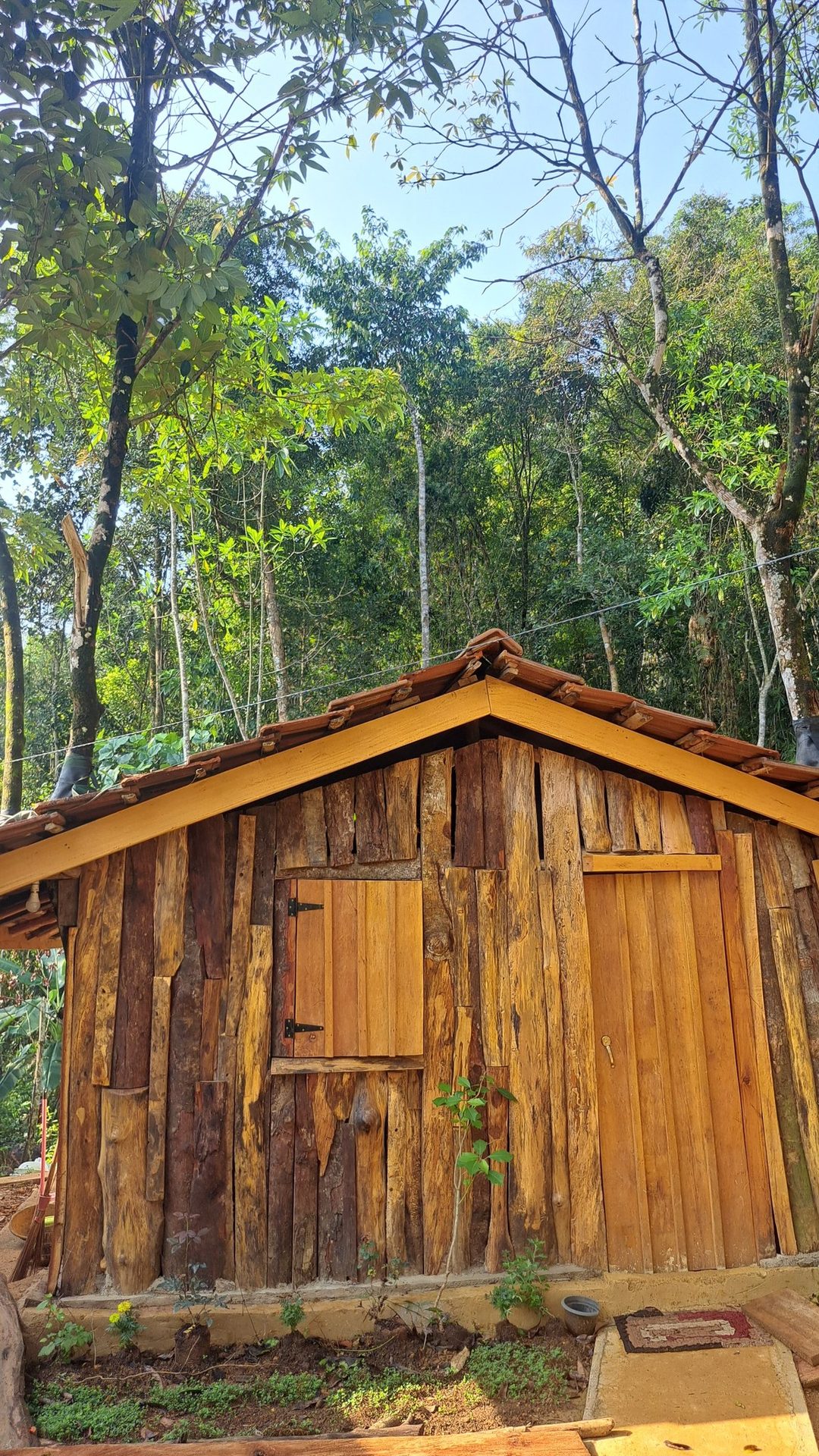Wooden Villa